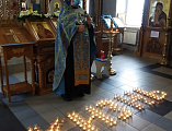 В храме в честь Донской иконы Богородицы г. Новошахтинска прошла акция «Жизнь»