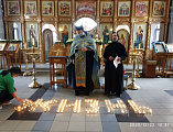 В храме в честь Донской иконы Богородицы г. Новошахтинска прошла акция «Жизнь»