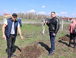 Добровольцы оказали помощь в высадке деревьев и уборке территории Донского храма г. Новошахтинска