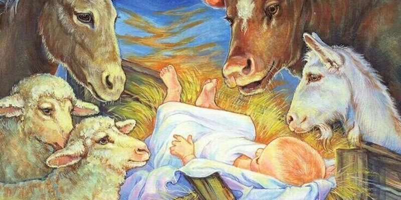 РОЖДЕСТВЕНСКАЯ ИСТОРИЯ ГЛАЗАМИ ЖИВОТНЫХ