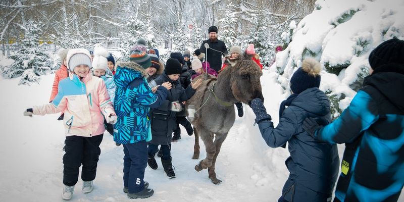 РОЖДЕСТВЕНСКИЕ КАНИКУЛЫ ФРИДРИХА