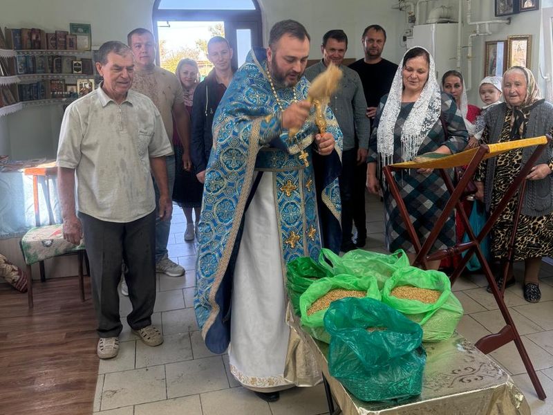 Освящение зерна перед перед посадкой