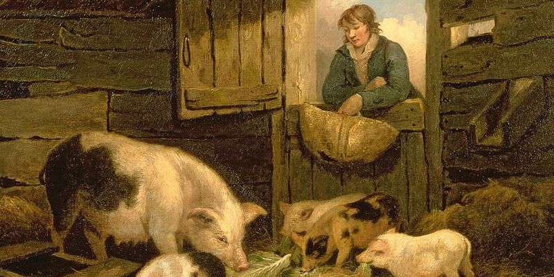 СВИНЬЯ ИЛИ ВЕЧНОСТЬ?