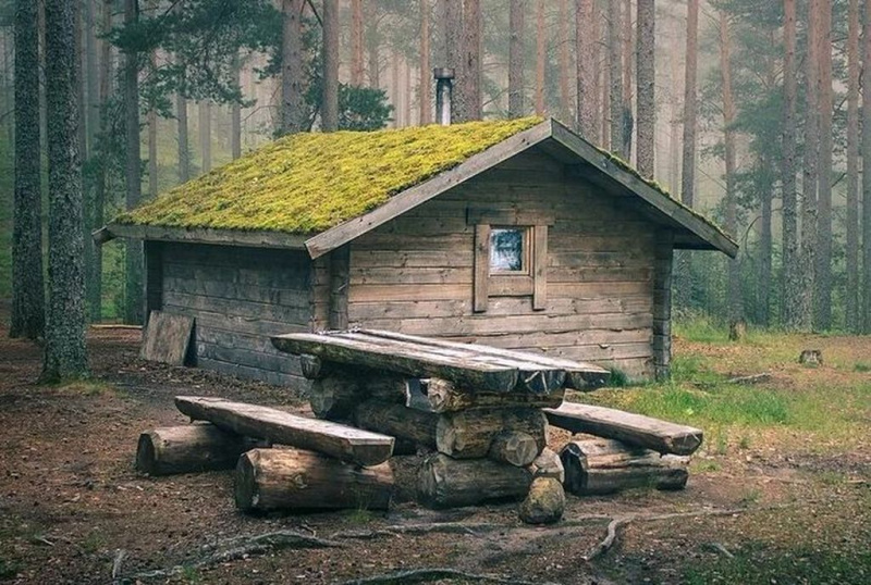 #СИДИМДОМА, ИЛИ ИСКУШЕНИЕ КАРАНТИНОМ