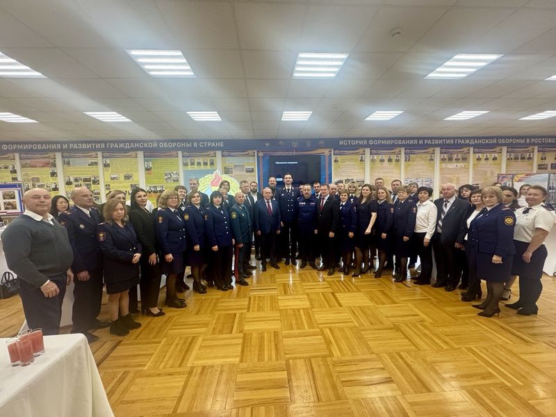 ВДПО Ростовской области подвело итоги работы в Международный день добровольцев