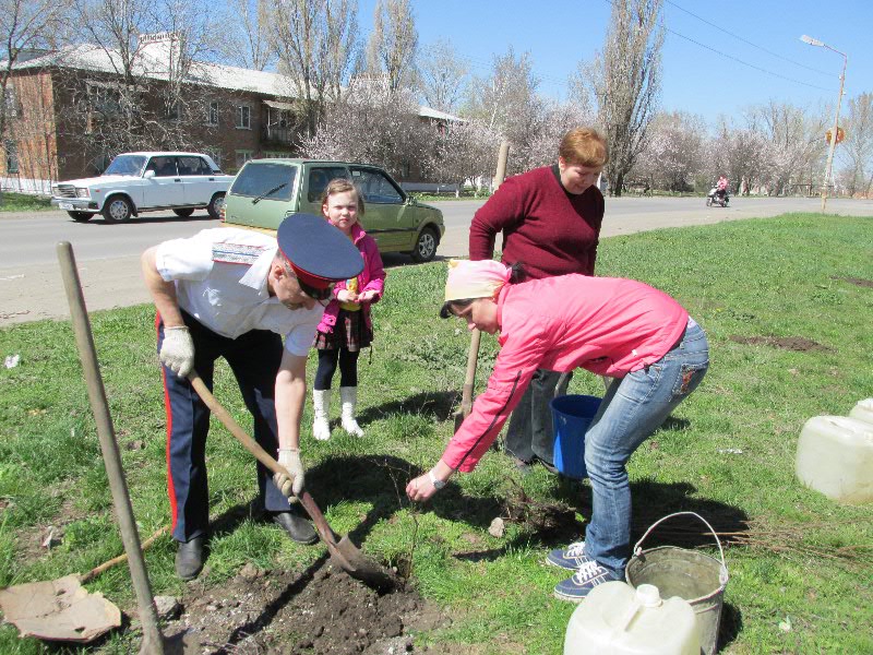 На территории Родионово-Несветайского поселения прошел День древонасаждений