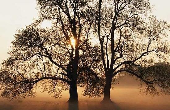 ЖИВАЯ ПРИРОДА. МЕРТВЫЙ ЧЕЛОВЕК