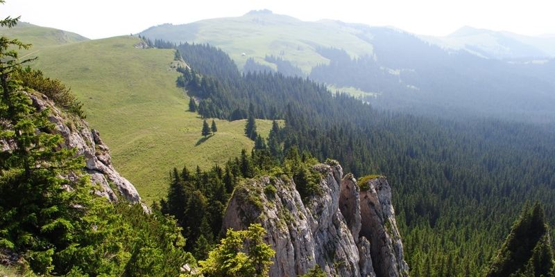 НЕВИДИМЫЕ ПУСТЫННИКИ БУКОВИНСКИХ ГОР
