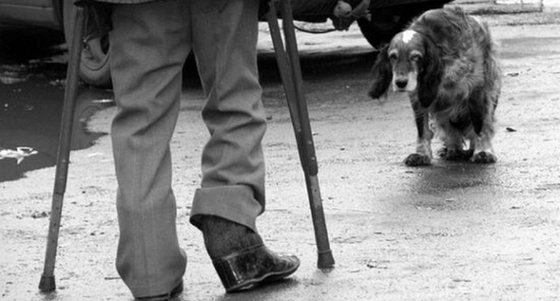 ДЕРЕВО, НЕ ПРИНОСЯЩЕЕ ПЛОДА