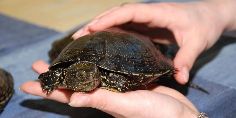 БУДЕТ ТЕБЕ УРОК!