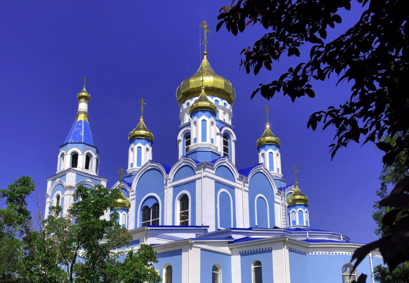 Приход Покровского кафедрального собора продолжает духовную традицию домашнего чтения Священного Писания