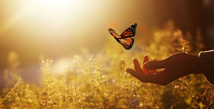 О НАШЕМ ПРЕОБРАЖЕНИИ