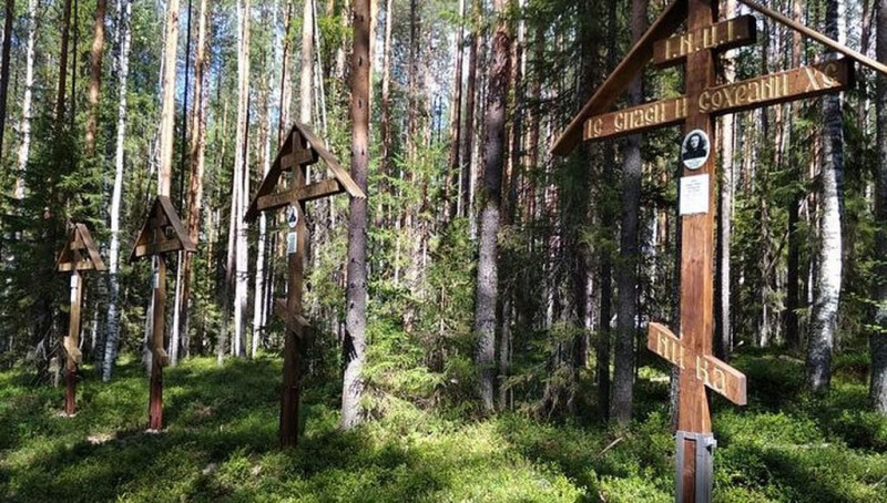 КРЕСТ В ЛЕСУ