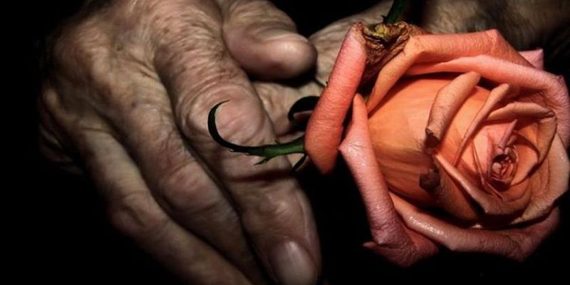 СТАРИК И РОЗЫ