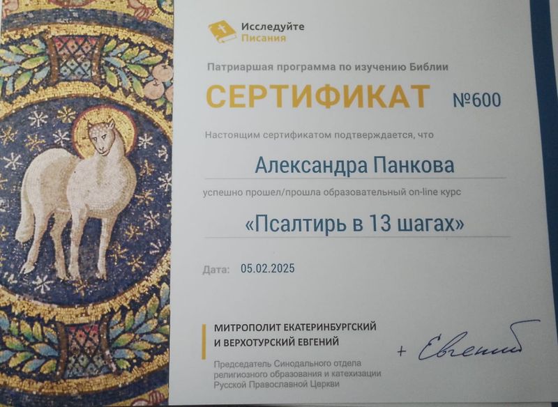 Благодарственное письмо и сертификаты от Синодального отдела по религиозному образованию и катехизации для руководителя приходской группы   