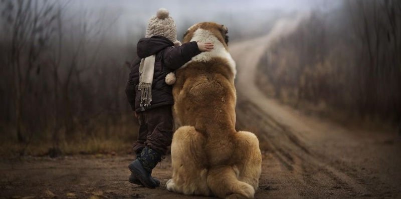 ТОНКОСТИ ВОСПИТАНИЯ