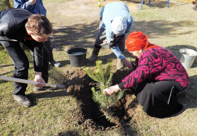 В Смоленском храме поддержали акцию древонасаждения