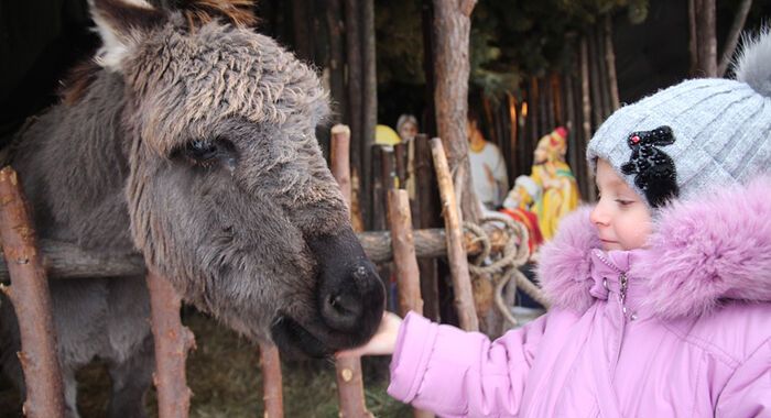 КАК ОСЛИКА РОЖДЕСТВО СПАСЛО