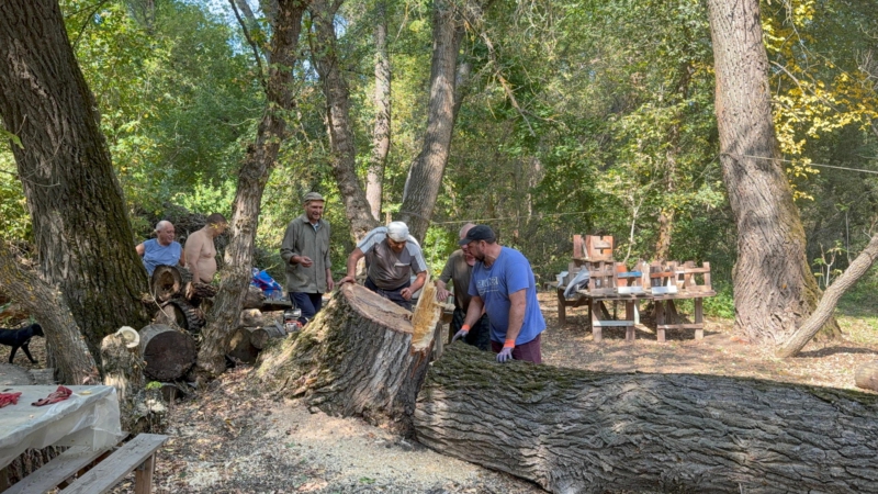 Соработничество казаков с приходом ст. Боковской