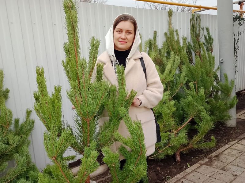 В Свято-Троицком храме прошла акция «Подари ёлку»