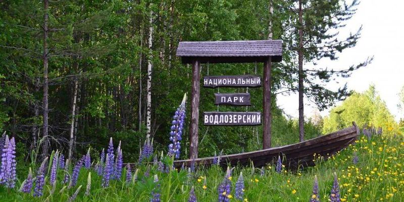 ЛЕТО С ДЕТЬМИ: УВИДЕТЬ СЕВЕРНОГО «СЛОНА» И ВЛЮБИТЬСЯ В НЕБО