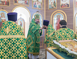 В престольный день Преосвященнейший епископ Симон совершил Божественную литургию в храме святого благоверного князя Александра Невского в городе Шахты