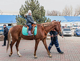 В прощеное воскресенье на Соборной площади города Шахты состоялись народные гуляния, посвященные Масленице