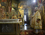В Рождественский сочельник Преосвященнейший епископ Симон совершил богослужение в Покровском кафедральном соборе г. Шахты