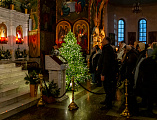 В ночь с 6 на 7 января в Покровском кафедральном соборе города Шахты встретили Рождество Христово
