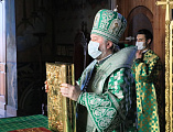 В День Святой Троицы, Пятидесятницы Преосвященнейший епископ Симон совершил Божественную литургию в Покровском кафедральном соборе г. Шахты 