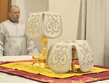 В ночь на 7 января под сводами Свято-Троицкого храма г. Каменск-Шахтинский состоялась торжественная Рождественская литургия