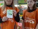 В Новошахтинске прошел традиционный продовольственный марафон «Корзина доброты» в Ростовской области