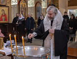 Епископ Шахтинский и Миллеровский Симон совершил таинство Крещения