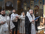 Епископ Шахтинский и Миллеровский Симон совершил таинство Крещения