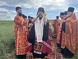 Епископ Шахтинский и Миллеровский Симон совершил молитву о благополучии урожая на донских полях