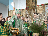 В праздник Входа Господня в Иерусалим епископ Симон совершил богослужение в Покровском кафедральном соборе города Шахты