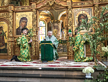 В День Святой Троицы, Пятидесятницы Преосвященнейший епископ Симон совершил Божественную литургию в Покровском кафедральном соборе г. Шахты