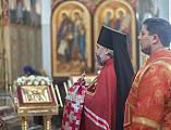 Духовенство и прихожане храмов Шахтинской епархии разделили с правящим архиереем день его тезоименитства 