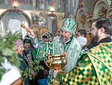 В праздник Входа Господня в Иерусалим епископ Симон совершил богослужение в Покровском кафедральном соборе города Шахты