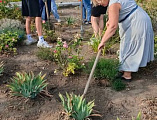 На территории Донского храма Новошахтинска провели акцию «Цветок Герою»   