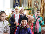 Акция «Вербочка с ЛЮБОВЬЮ» прошла в Новошахтинске