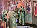 Престольный праздник в храме хутора Земцов Боковского района 