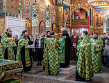 В Покровском кафедральном соборе города Шахты торжественно встретили ковчег с мощами святого праведного Павла Таганрогского
