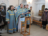 Голуби над храмом Донской иконы Божией Матери