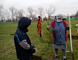 В честь 76-летия Победы в Великой Отечественной войне по благословению иерея Андрея Павленкова была высажена аллея к братской могиле в хут. Красном