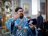 Божественная литургия в Покровском кафедральном соборе в праздник в честь образа Божией Матери «Утоли моя печали»