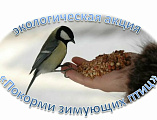 Воспитанники воскресной школы «Благовест» приняли участие в экологической акции «Покорми зимующих птиц»
