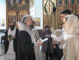 Епископ Шахтинский и Миллеровский Симон совершил таинство Крещения