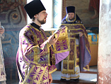 Епископ Симон совершил Божественную литургию и освящение меда в кафедральном соборе Шахтинской епархии