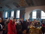 Подари тепло добрых сердец